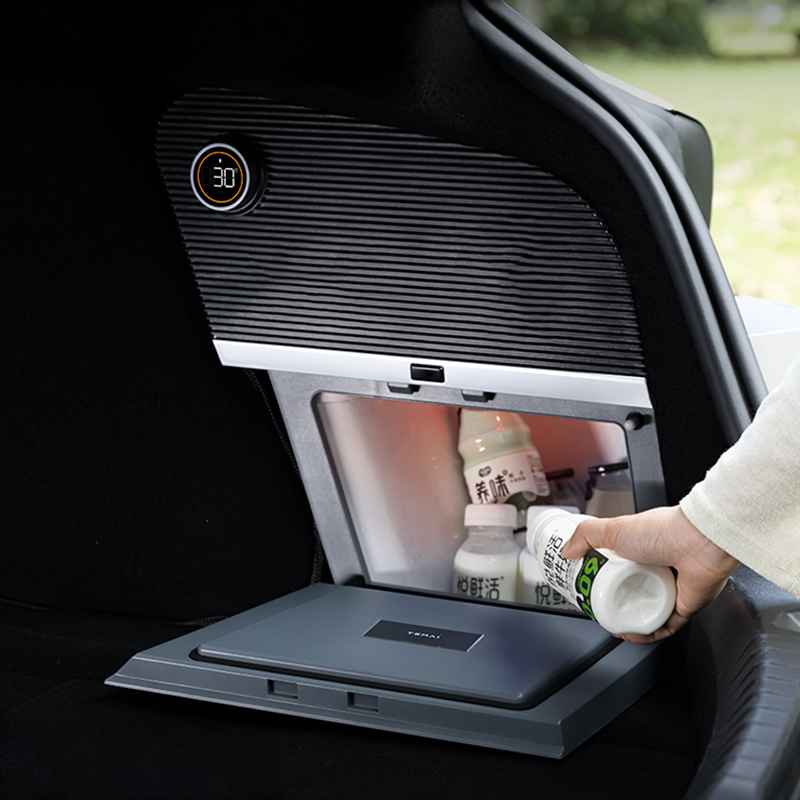 TEMAI Trunk Fridge (for Model3)