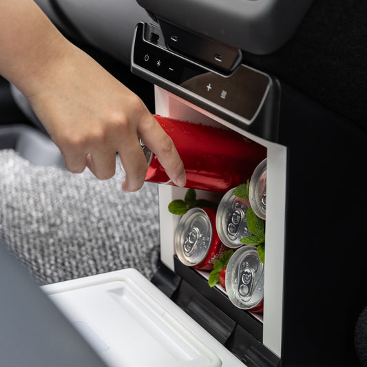 Rear Seat Fridge