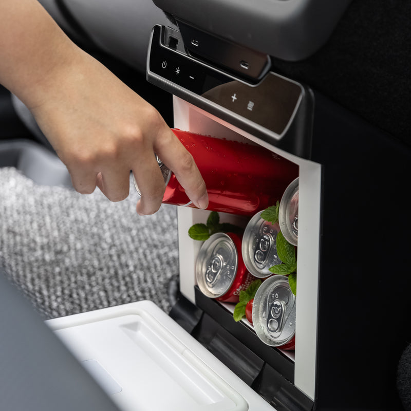 Rear Seat Fridge