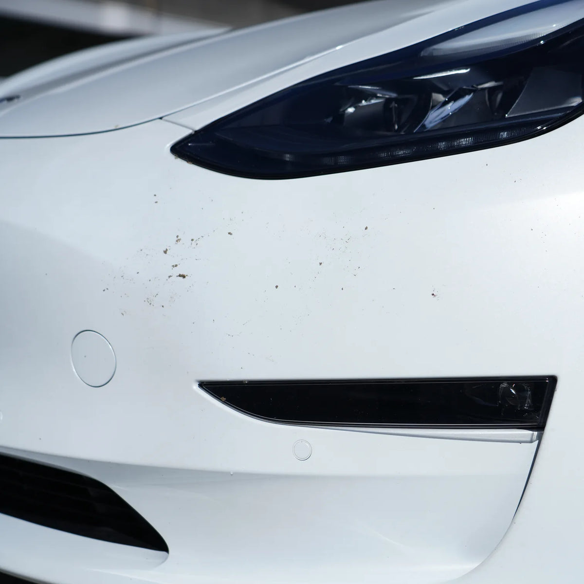 BOXIV The MagicCleaner：高速道路のあとの虫汚れも、一瞬で。